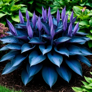 Хоста Сикрет Гров купить по цене от 570р. в интернет-магазине «Посадика» с доставкой почтой в в Вилючинске и по всей России – [изображение №1].